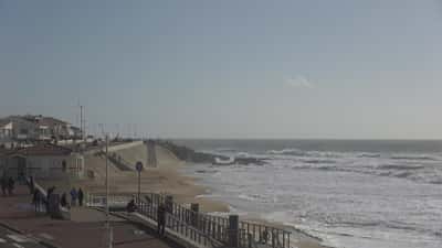 Tanchet Surf